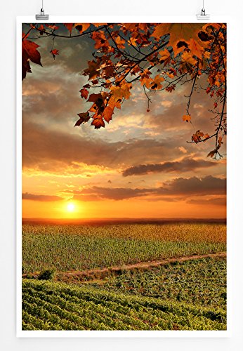 Eau Zone Home Bild - Landschaft Natur – Chianti Weinberge in der Toskana Italien- Poster Fotodruck in höchster Qualität von Eau Zone