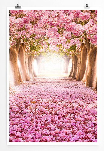 Eau Zone Home Bild - Landschaft Natur – Kirschbaumallee mit rosa Blütenblättern- Poster Fotodruck in höchster Qualität von Eau Zone