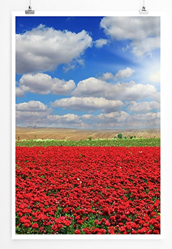Eau Zone Home Bild - Landschaft Natur – Malerisches Mohnfeld- Poster Fotodruck in höchster Qualität von Eau Zone