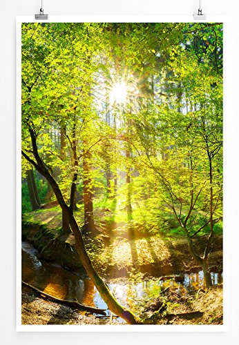 Eau Zone Home Bild - Landschaft Natur – Waldbach in der Sonne- Poster Fotodruck in höchster Qualität von Eau Zone