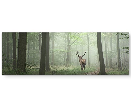 Eau Zone Wandbild auf Leinwand 120x40cm Hirsch im Wald Eau Zone Wandbild auf Leinwand 120x40cm Hirsch im Wald von Eau Zone