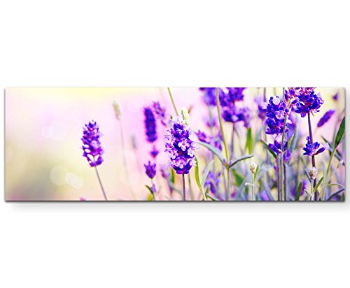 Eau Zone Wandbild auf Leinwand 120x40cm Lavendel im Sonnenschein von Eau Zone