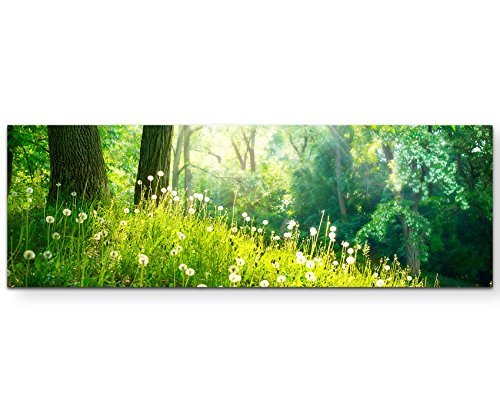 Eau Zone Wandbild auf Leinwand 120x40cm Pusteblumen im Wald von Eau Zone
