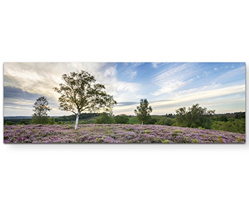 Eau Zone Wandbild auf Leinwand 120x40cm blühende Heidelandschaft Eau Zone Wandbild auf Leinwand 120x40cm blühende Heidelandschaft von Eau Zone