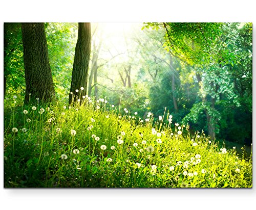 Eau Zone Wandbild auf Leinwand 120x80cm Pusteblumen im Wald von Eau Zone