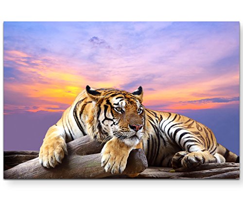 Eau Zone Wandbild auf Leinwand 120x80cm liegender Tiger mit Sonnenuntergang im Hintergrund von Eau Zone