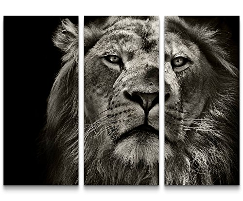 Eau Zone Wandbild auf Leinwand 130x90cmcm Portrait eines Löwen von Eau Zone