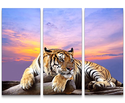 Eau Zone Wandbild auf Leinwand 130x90cmcm liegender Tiger mit Sonnenuntergang im Hintergrund von Eau Zone