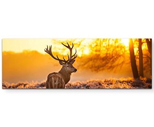 Eau Zone Wandbild auf Leinwand 150x50cm Hirsch im Morgenlicht von Eau Zone