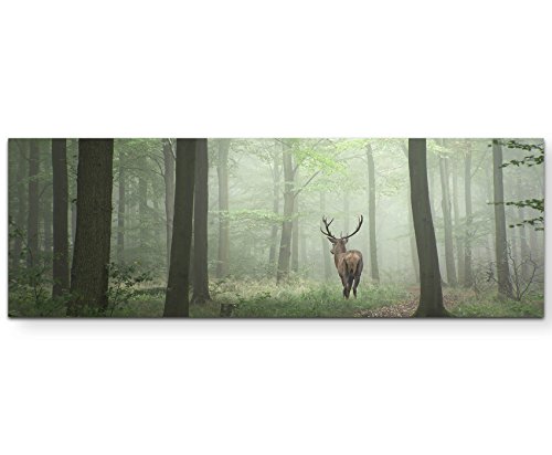 Eau Zone Wandbild auf Leinwand 150x50cm Hirsch im Wald von Eau Zone