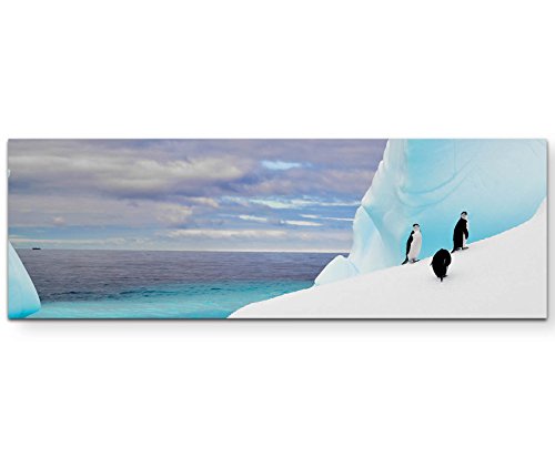 Eau Zone Wandbild auf Leinwand 150x50cm Pinguine in der Antarktis von Eau Zone