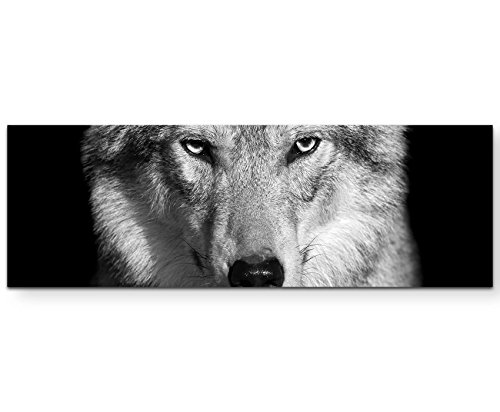 Eau Zone Wandbild auf Leinwand 150x50cm Portrait – Wolf schwarz, weiß von Eau Zone