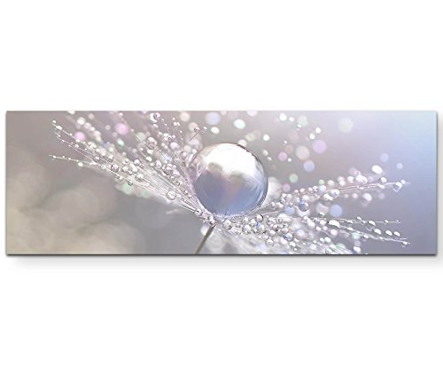 Eau Zone Wandbild auf Leinwand 150x50cm Pusteblume mit Wassertropfen Eau Zone Wandbild auf Leinwand 150x50cm Pusteblume mit Wassertropfen von Eau Zone