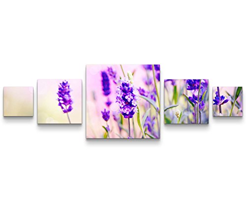Eau Zone Wandbild auf Leinwand 160x50cm Lavendel im Sonnenschein von Eau Zone