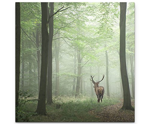 Eau Zone Wandbild auf Leinwand 60x60cm Hirsch im Wald von Eau Zone