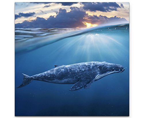 Eau Zone Wandbild auf Leinwand 60x60cm Wal zwischen Himmel und Meer Eau Zone Wandbild auf Leinwand 60x60cm Wal zwischen Himmel und Meer von Eau Zone