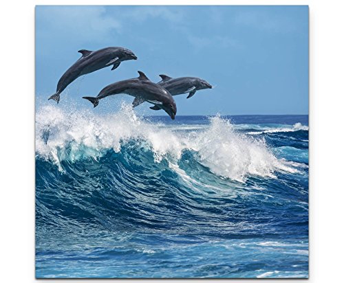 Eau Zone Wandbild auf Leinwand 60x60cm springende Delphine von Eau Zone