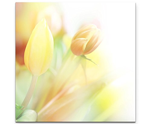 Eau Zone Wandbild auf Leinwand 60x60cm zarte gelbe Tulpen – Nahaufnahme Eau Zone Wandbild auf Leinwand 60x60cm zarte gelbe Tulpen – Nahaufnahme von Eau Zone