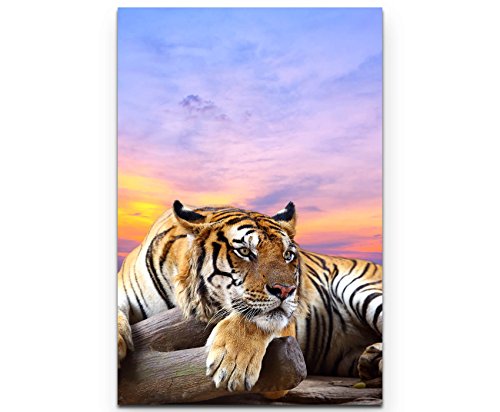 Eau Zone Wandbild auf Leinwand 90x60cm liegender Tiger mit Sonnenuntergang im Hintergrund von Eau Zone