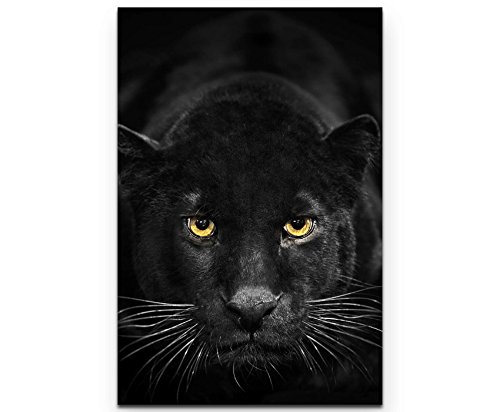 Eau Zone Wandbild auf Leinwand 90x60cm schwarzer Panther von Eau Zone