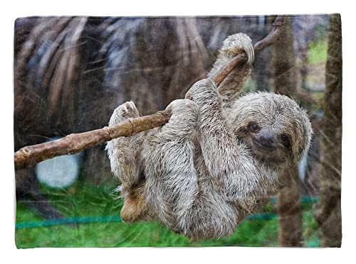 Handtuch Strandhandtuch Saunatuch Kuscheldecke mit Tiermotiv Baby Faultier Süß Größe 180 x 130 cm (Tagesdecke - Sherpa Flies) von Eau Zone