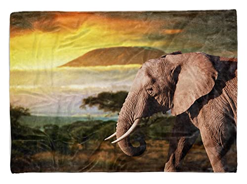 Handtuch Strandhandtuch Saunatuch Kuscheldecke mit Tiermotiv Elefant Afrika Kil Größe 180 x 130 cm (Tagesdecke - Sherpa Flies) von Eau Zone