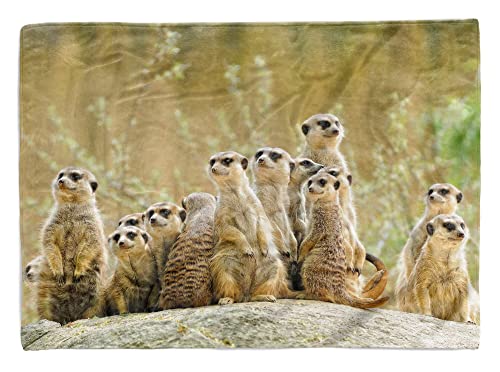 Eau Zone Handtuch Strandhandtuch Saunatuch Kuscheldecke mit Tiermotiv Erdmännchen Famili Größe 180 x 100 cm von Eau Zone