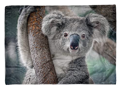 Handtuch Strandhandtuch Saunatuch Kuscheldecke mit Tiermotiv Koalabär Koala Aus Größe 180 x 100 cm von Eau Zone