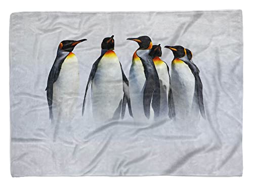 Eau Zone Handtuch Strandhandtuch Saunatuch Kuscheldecke mit Tiermotiv Pinguine Kaiserpin Größe 140 x 70 cm von Eau Zone