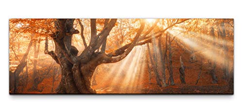 Leinwandbild auf Echtholzrahmen Magischer alter Baum 150x50cm von Eau Zone