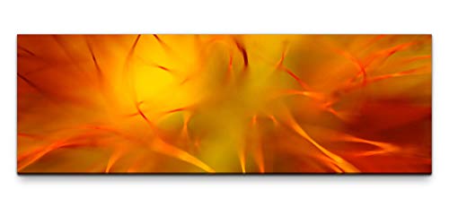 Leinwandbild auf Echtholzrahmen Nahaufnahme orange Blüte 150x50cm von Eau Zone