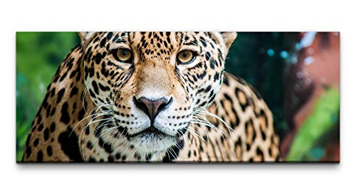 Wandbild Jaguar in der Natur 100x40cm von Eau Zone