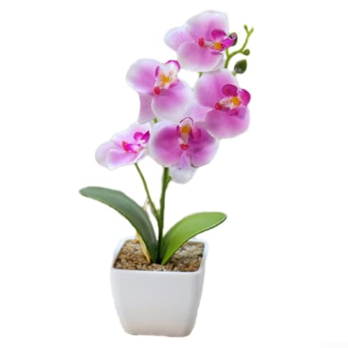 5 künstliche Phalaenopsis-Topfpflanzen – realistische Kunstblumen-Arrangement in Kunststoff-Blumentöpfen, lebendige Heimdekoration für den Innenbereich, Desktop-Dekoration, 27 cm hoch (lila) von Eawfgtuw