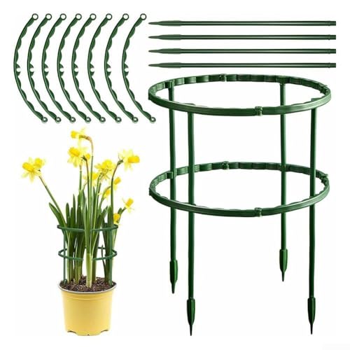 Eawfgtuw Pflanzenstützrahmen Säulen-Set Klettergerüst Garten Umrandung Halterung Käfig halbrundes Design geeignet für Sträucher Pflanzen Ranken Unterstützung 15,5 x 26 cm Eawfgtuw Pflanzenstützrahmen Säulen-Set Klettergerüst Garten Umrandung Halterung Käfig halbrundes Design geeignet für Sträucher Pflanzen Ranken Unterstützung 15,5 x 26 cm von Eawfgtuw