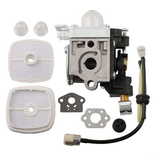 Eawfgtuw Vergaser Kit RB-K106 für PB250 PB250LN PB-250 ES250 Laubbläser Ersatzteil A021003660 A021003661 Aluminiumlegierung Konstruktion mit kompletter Installation von Eawfgtuw