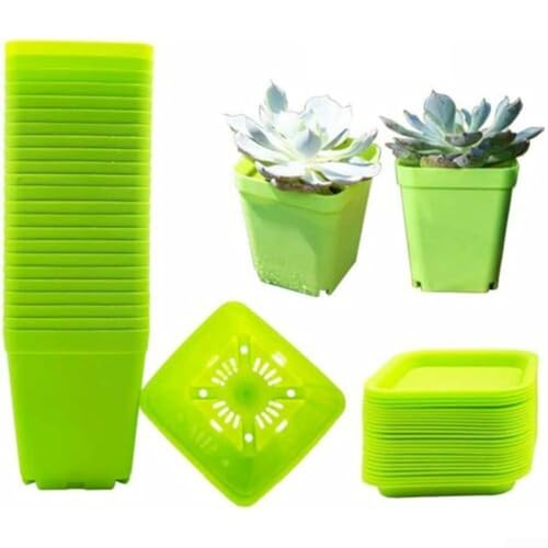 Quadratische Blumentöpfe aus Kunststoff mit Abflusslöchern und Abflusswannen für Haus, Garten, Anzucht und Pflanzenzucht, Grün, 10 Stück von Eawfgtuw