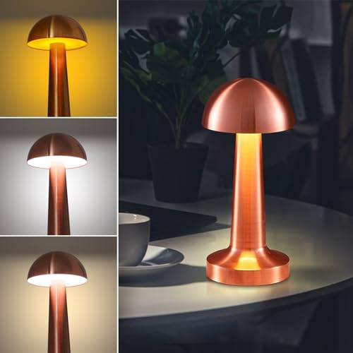 Eaxus® Aufladbare Mushroom Lampe - Schöne Deko LED Tischlampe kabellos in Pilzform - für Wohnzimmer, Schlafzimmer & Co | USB-Kabel und Akku, Kupferfarben von Eaxus