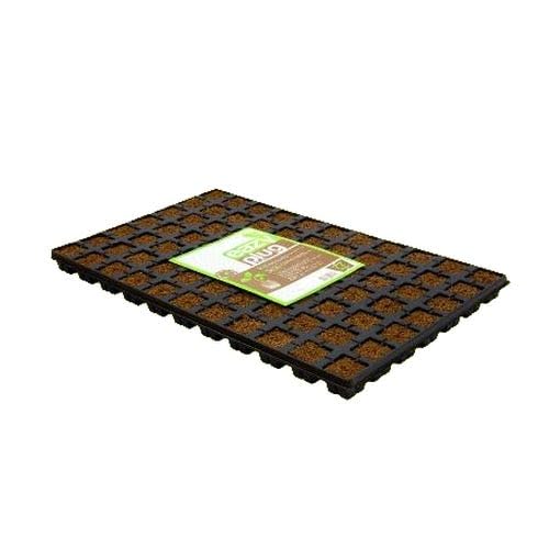 Easy Plug Anzucht Würfel für Stecklinge 77er Tray Easy Plug Anzucht Würfel für Stecklinge 77er Tray von Guoml