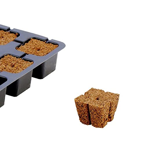 Eazy Plug 150 Keimwürfel Stecklinge Eazy Plug 150 Keimwürfel Stecklinge von Eazy plug