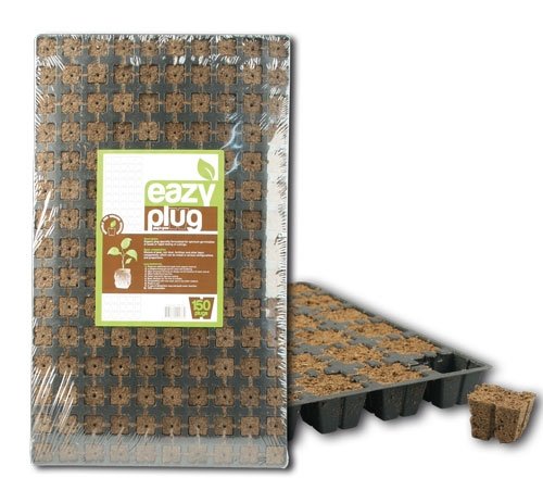 Eazy Plug Stecklingsblöcke Tray mit 150 Stück Eazy Plug Stecklingsblöcke Tray mit 150 Stück von Surdefens