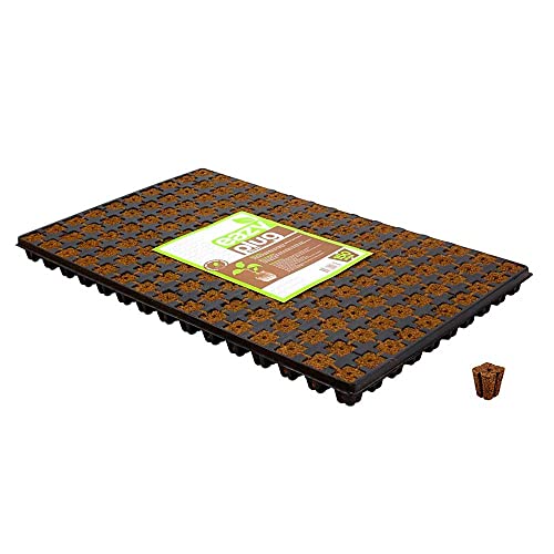 Seed Propagation Tray Eazy Gardening Plug - 150 Plugs (52x31cm) Seed Propagation Tray Eazy Gardening Plug - 150 Plugs (52x31cm) von Yoeyang