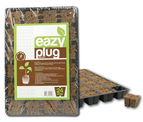 Eazy Plug Tray mit 24 Stück Eazy Plug Tray mit 24 Stück von Guoml