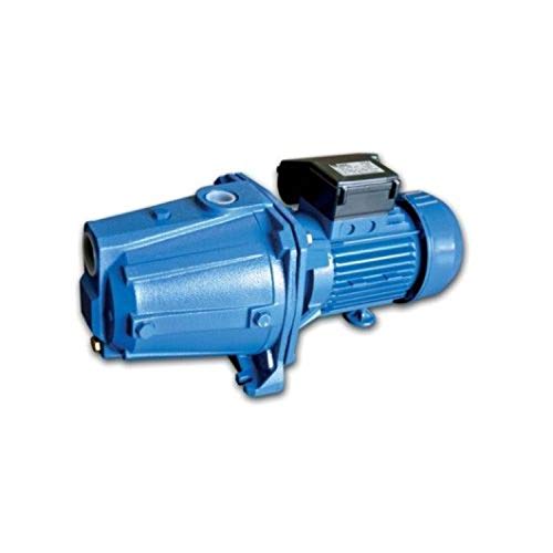 Selbstansaugende Elektropumpe Serie AGA/A 0,60 T für Versorgung und Druck, Hauswasser, Bewässerung, Waschen, Entleeren und Befüllen, 0,44 kW 0,6 PS, blau (1100060004A) von Ebara