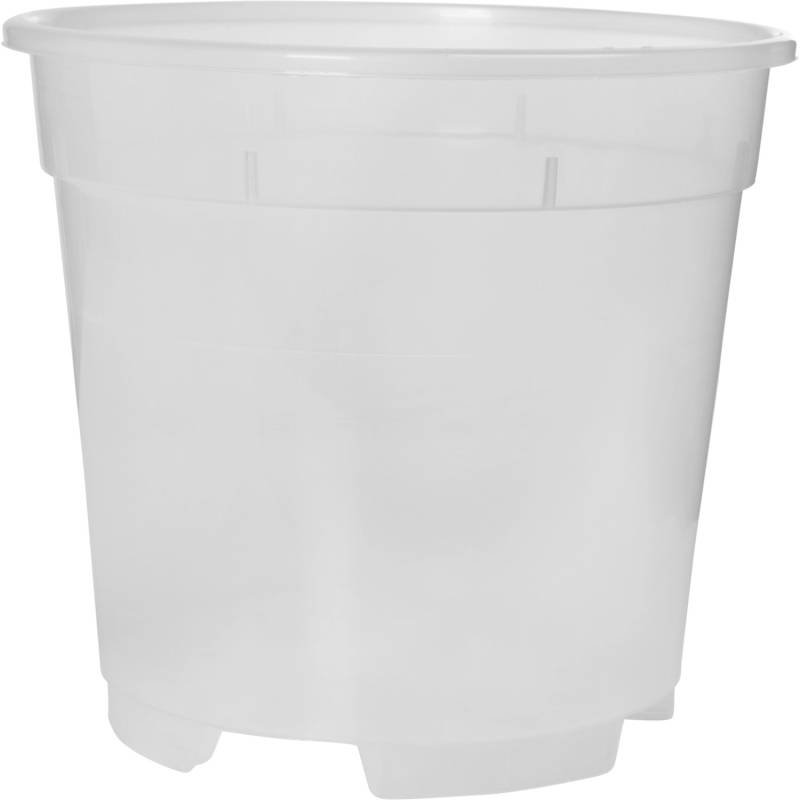 Florus Orchideentopf Ø 12 cm Transparent von Florus