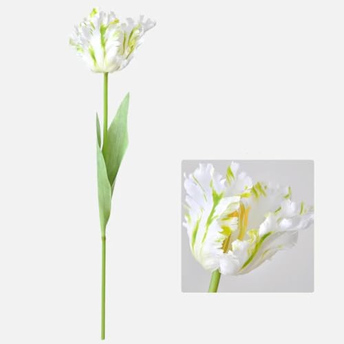 EboLD 1 x 3D-Papageientulpe aus Seide, 68 cm, künstliche Blume, fühlt sich echt an, für Hochzeitsdekoration, Heimgaren-Dekoration, weiß von EboLD