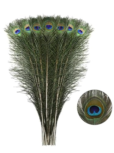 EboLD Natürliche Pfauenfedern für Bastelarbeiten, Hochzeit, Urlaub, Dekoration für Zuhause und Blumenarrangement, 30–40 cm, 10 Stück von EboLD