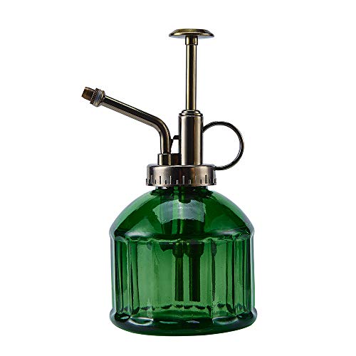 Ebristar Glas-Pflanzen-Sprühflasche, 16,5 cm hoch, Vintage-Pflanzen-Spritzer-Gießkanne, Sukkulenten-Bewässerungsflasche mit oberer Pumpe, kleiner Pflanzensprüher für Innen- und Außenbereich, von Ebristar
