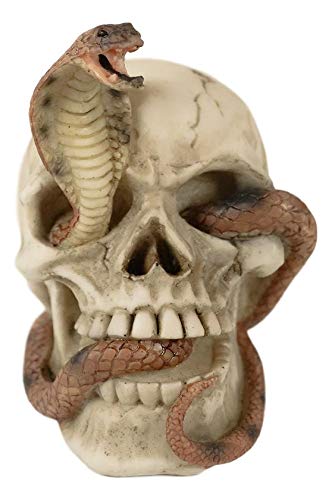 Ebros Geschenk Ägyptische Uräusschlange (Symbol) Cobra Skull Figur 11,4 cm L Pharao Diadem Skelett Skulptur von Ebros Gift