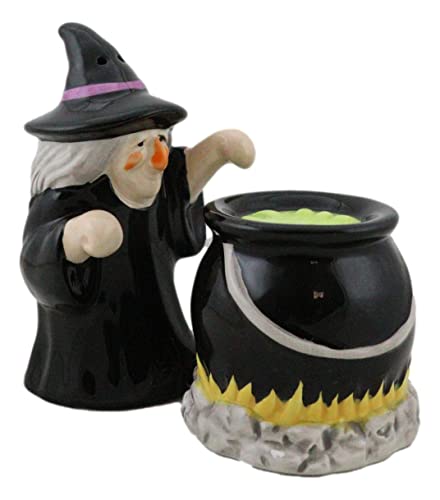 Ebros Gift "Double Double Toil And Trouble Fire Burn And Cauldron Bubble" Black Potion Magic Witch And Large Cauldron On Fire Hearth Salzstreuer Set Keramik Figuren von Ebros Gift