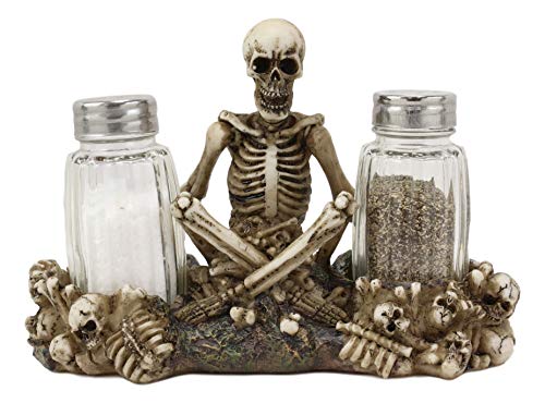 Ebros Gothic Tag der Toten Friedhof Garnish Meditierendes Skelett sitzend auf Friedhof von Knochen und Totenköpfen, Salz- und Pfefferstreuer, Figuren-Set 16,5 cm breit von Ebros Gift